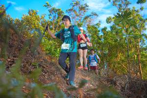 BIB: 4359
                            <button type="button" onclick="openModal(21833183)" class="btn btn-primary btn-sm float-right btn-popup" data-toggle="modal" data-target=".modal-high-quality">
                        <i class="fas fa-shopping-cart"></i> Add to Cart
                    </button>
                                            <button type="button" onclick="isThisMe(21833183, true)" class="btn btn-success btn-sm float-right btn-popup btn-isme hidden" data-toggle="tooltip" data-placement="bottom" title="นี่คือรูปของคุณใช่ไหม คลิกที่นี่เพื่อเอาเข้าอัลบั้ม">
                        <i class="fas fa-plus"></i> Add to album
                    </button>
                    <button type="button" onclick="isThisMe(21833183, false)" class="btn btn-warning btn-sm float-right btn-popup btn-isnotme hidden">
                        <i class="fas fa-ban"></i> Remove from album
                    </button>